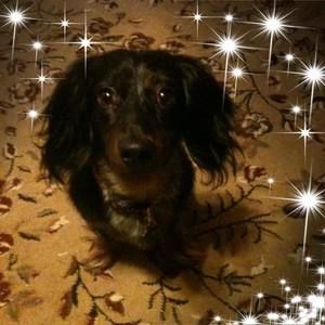 Meet your Posher, Rita